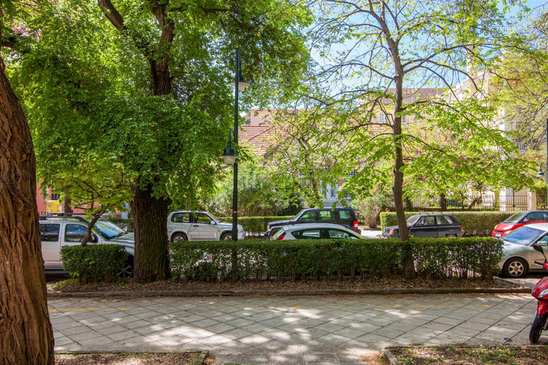 Surrounding environment, Aloe Apartments, Ionian Islands