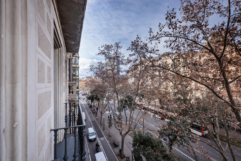 Others 3, Sweett - Casa Palau, Barcelona