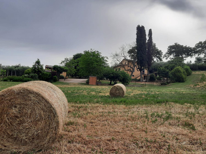 Others 5, Agriturismo Il Truffarello TODI, Perugia