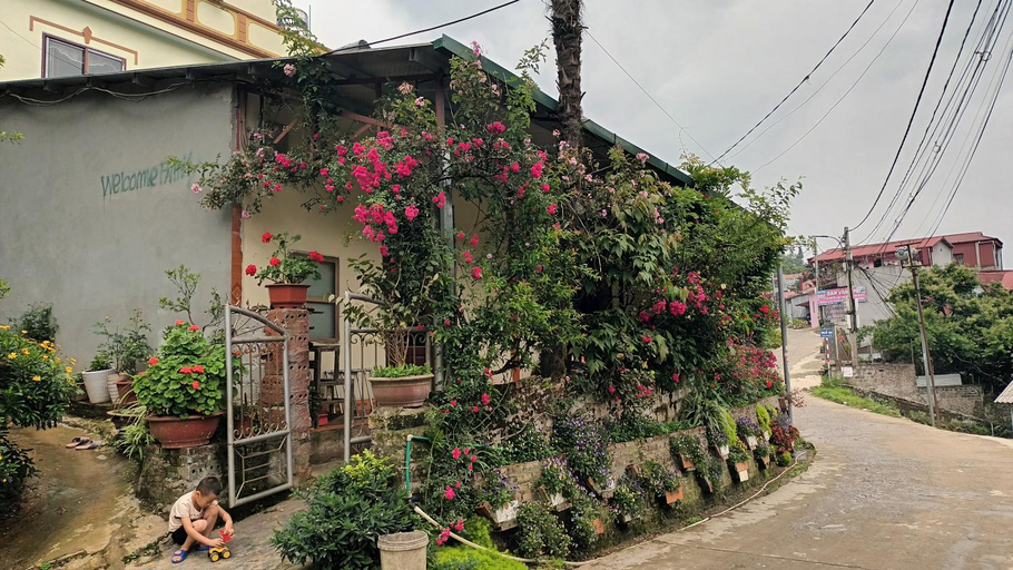 Others 3, You hour homestay, Sa Pa