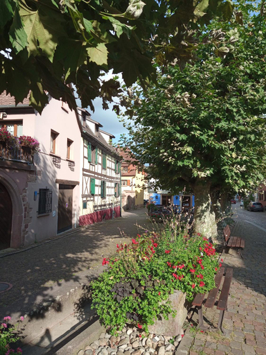 Others 4, Gites Aux Fines Bulles d'Alsace, Haut-Rhin