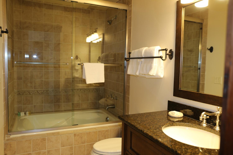 Bathroom 4, Junior King Suite Hotel Room, Summit
