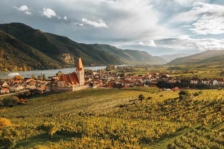 Others 3, Weingut Ferdl Denk, Krems an der Donau Land
