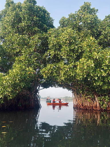 Others 2, Vrindavan homestay, Kollam