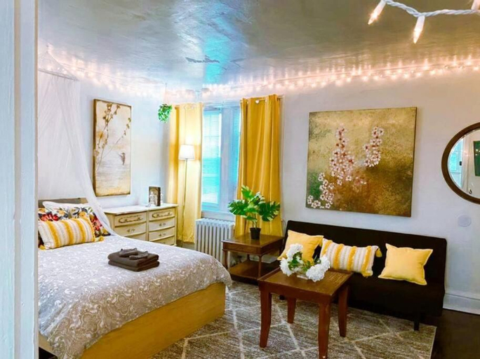 (49.1E) Garden style studio @ Forest Park & City!, Saint Louis