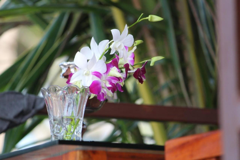 Others 4, Agonda Wellness, South Goa