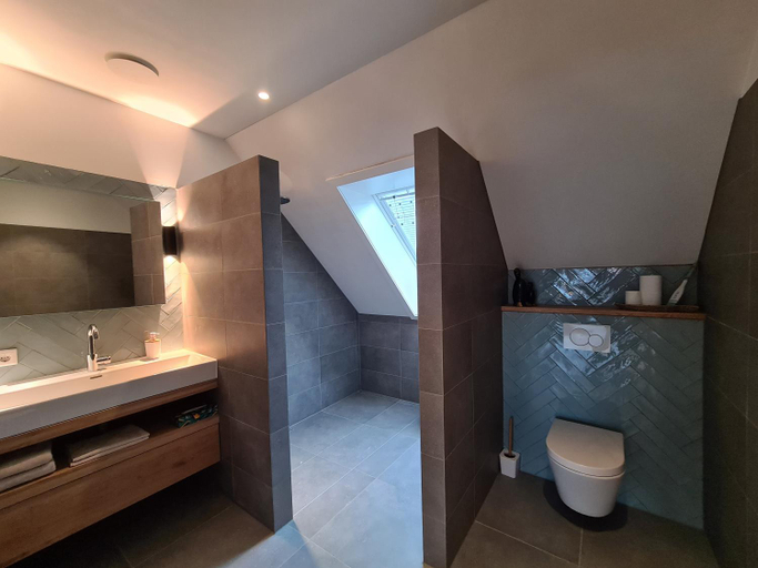 Bathroom 2, De WiedenWeide, Steenwijkerland