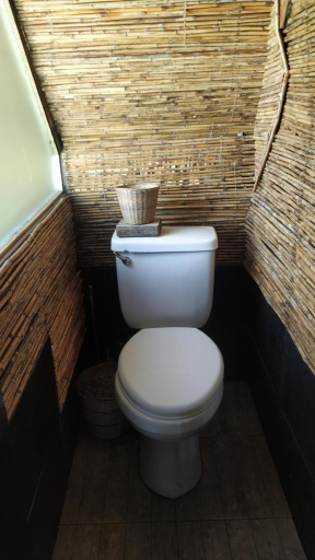 Bathroom 2, Tarzan's House, General Luna