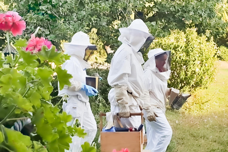Others 2, Le domaine de la Rivaliere, Tarn-et-Garonne