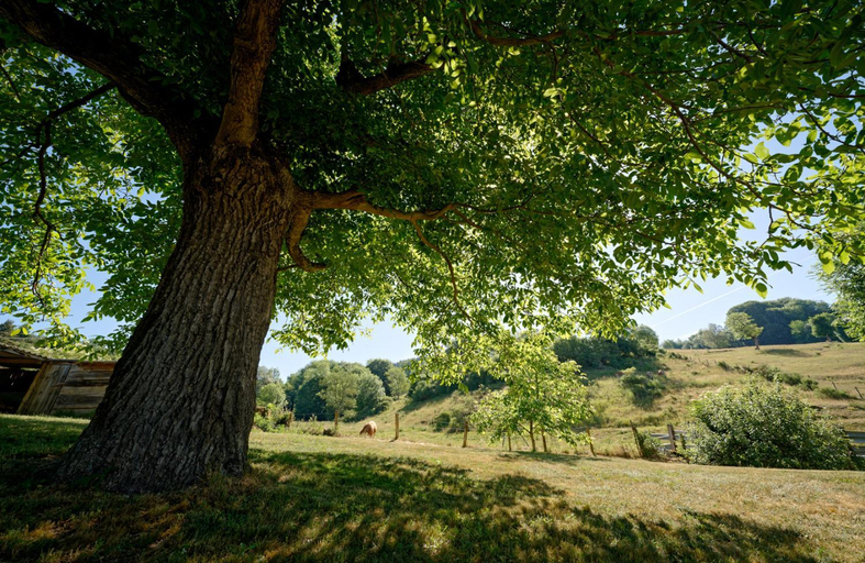 Others 5, Le petit chateau du Villard, Lozère
