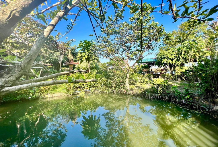 Scenery 13