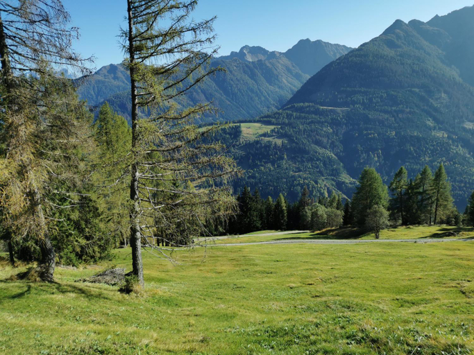 Others 2, Das Wipferl - Dein Nest in den Bergen, Hermagor