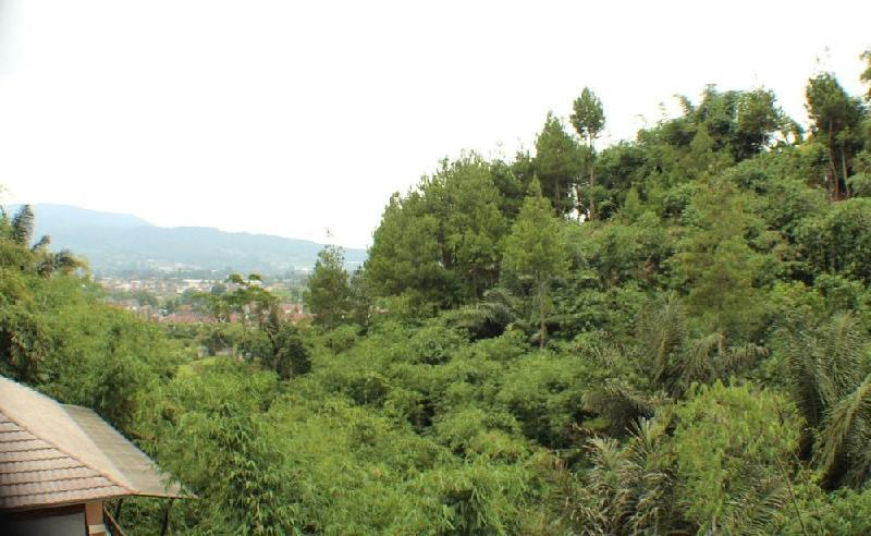 Scenery