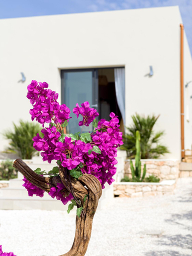 Exterior & Views 1, Kartika Charming House, Agrigento