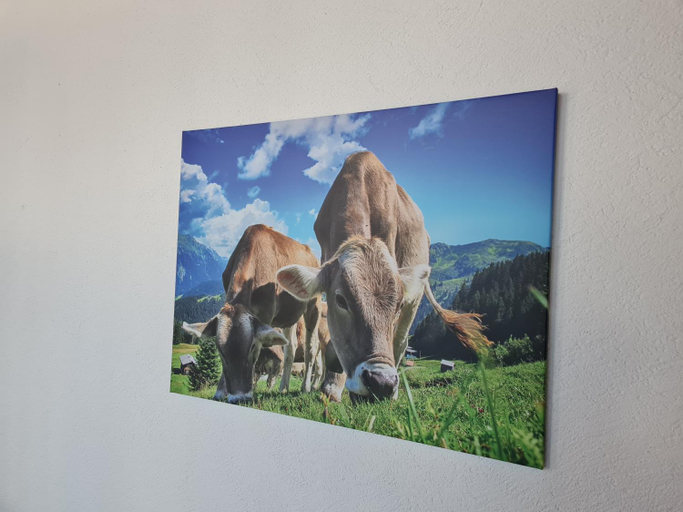 Others 4, Toller Bergblick vom ruhigen Sonnenbalkon, nur 50m zum See & OPNV inklusive, Oberallgäu