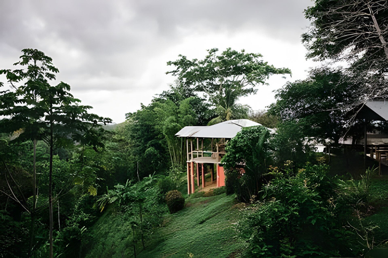 Exterior & Views 2, Balsa Nueva Lodge, Golfito