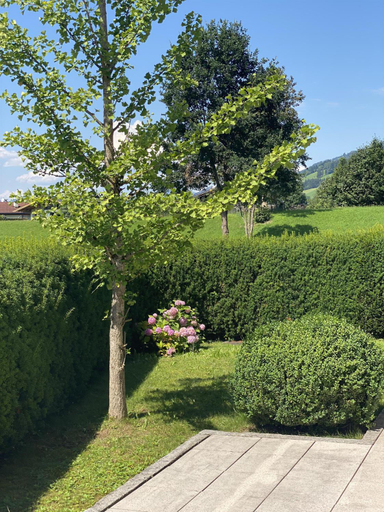 Others 3, Casa45, Kitzbühel