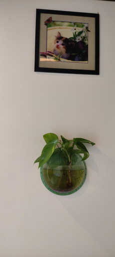 Others 5, Soly's Villa Homestay, Idukki