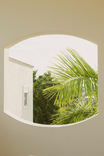 Others 5, Gardenia Collective, Cozumel
