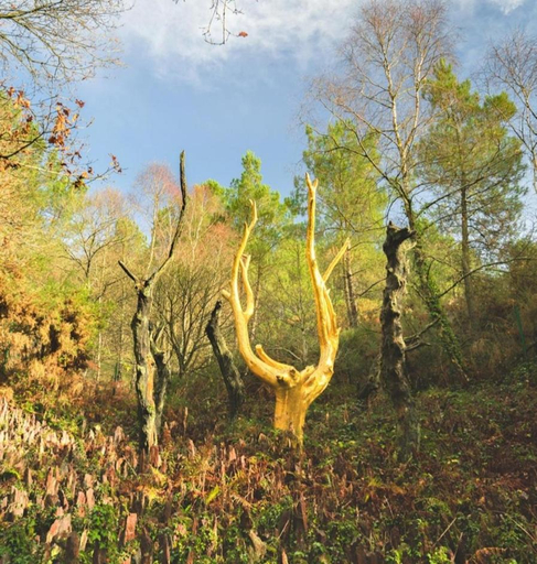 Others 5, L'arbre dort studio independant, Morbihan