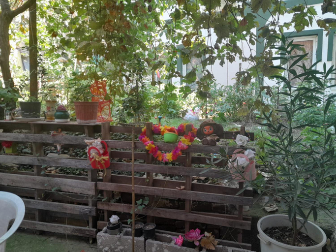 Others 4, Private Room & Terrace