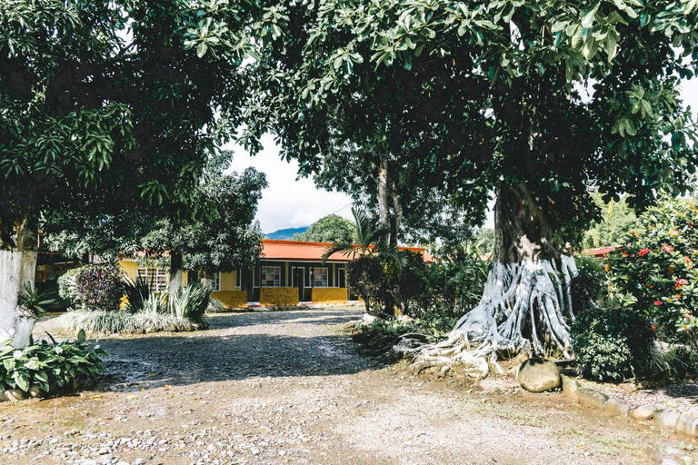 Others 5, Cabinas EL PRADO, Pérez Zeledón