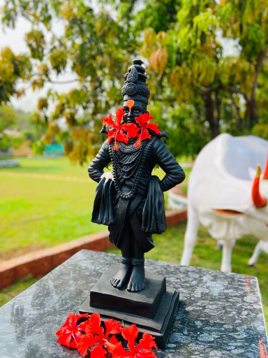 Others 4, Ashoka Lawns And Resort, Raigarh