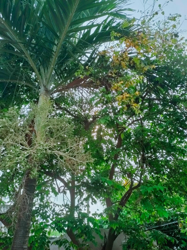 Others, Nha nghi Ut Ti, La Gi