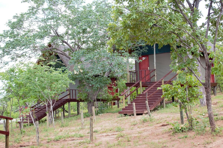 Others 2, Lion Roars Lodge, Chobe