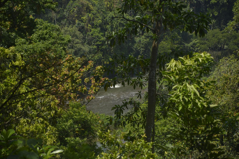 Others 5, Leon Hilltop Resort, Yatiyanthota