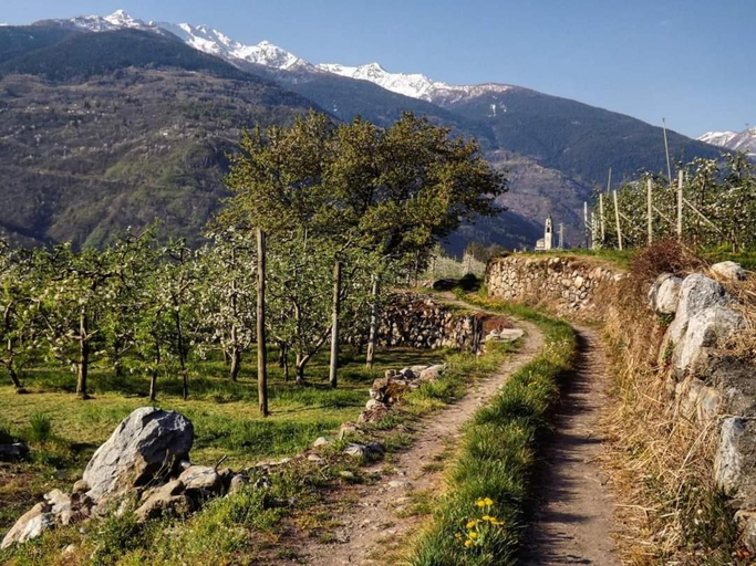 Others 5, Affittacamere Al Vicolo, Sondrio
