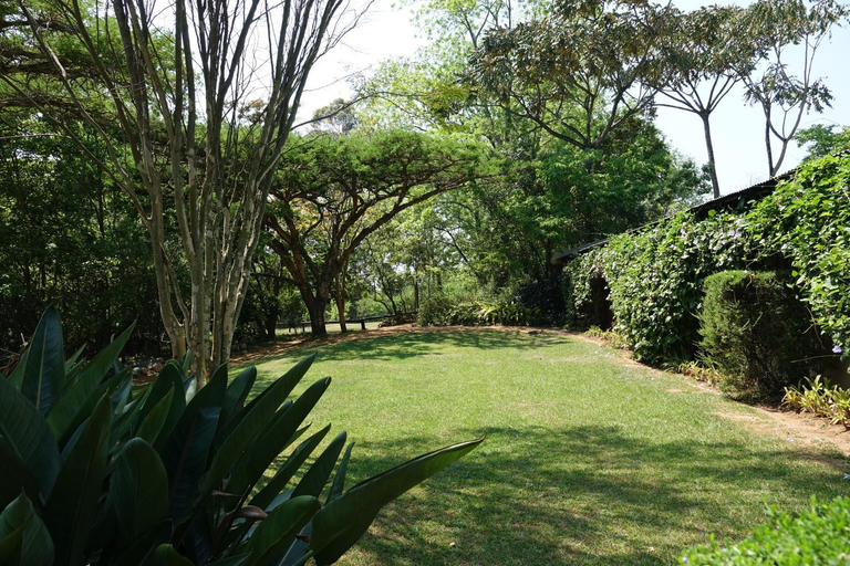 Others 4, Ekukhanyeni, The Place of Light, Ehlanzeni