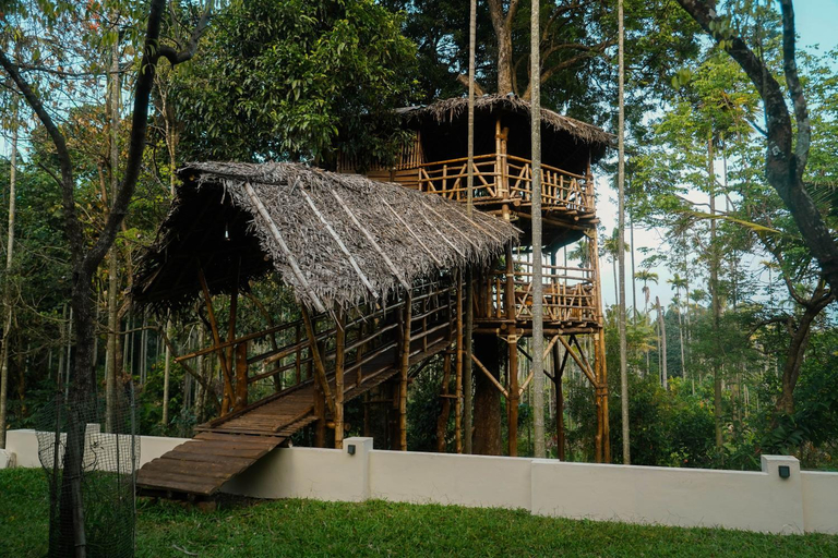 Others 5, VanaJyotsna Forest Home, Idukki