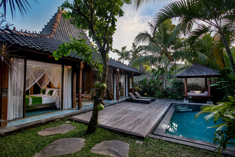 Swimming Pool 3