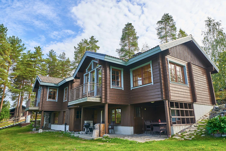Others 3, Villa Ozero, North Savonia