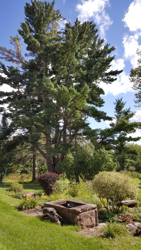 Others 2, Pinehurst Inn Bed & Breakfast, Bayfield