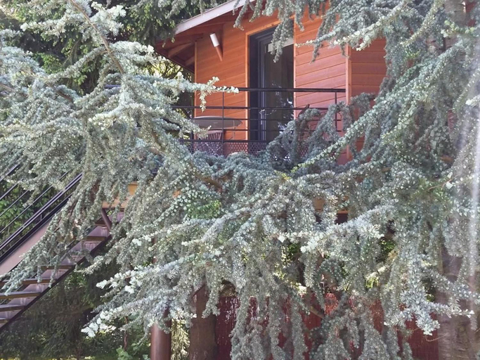 Others 4, Cabane perchee avec lit king-size, salle d'eau, kitchenette, TV, Wi-Fi et petit-dejeuner inclus - FR, Loire-Atlantique