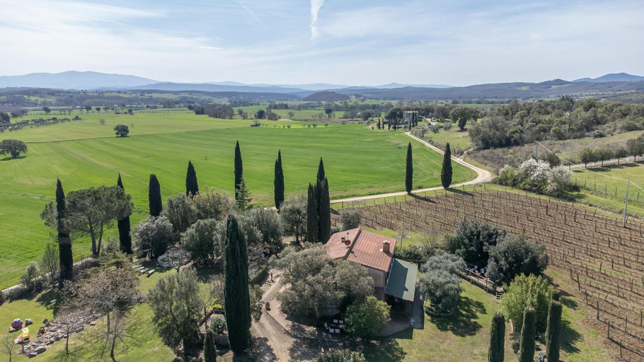 Lucente, Grosseto