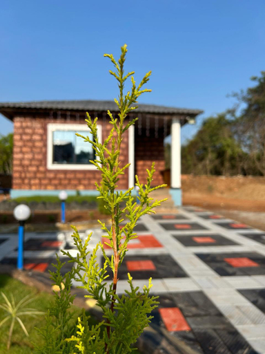 Others 5, Yashovana Nature Stay Gokarna, Uttara Kannada