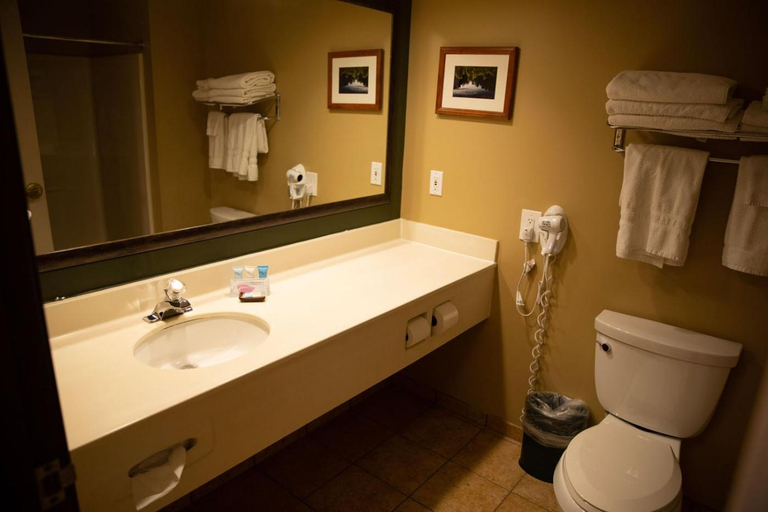 Bathroom, Grand Ely Lodge, Saint Louis