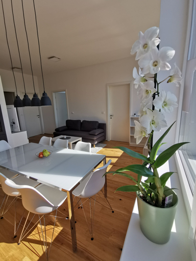 Others 5, Apartments Egis Koper, Koper