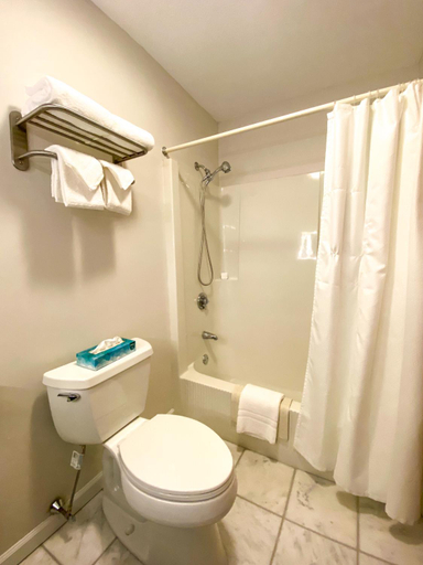Bathroom 3, The Central Downtown Inn Suites, Berkshire
