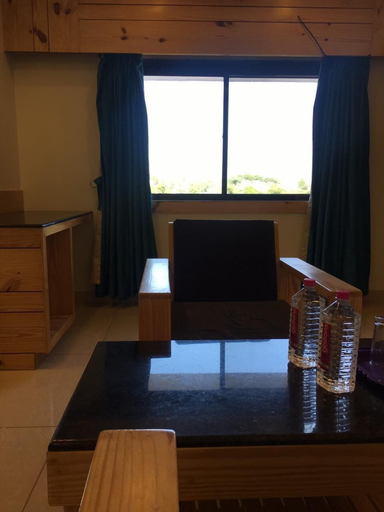 Others 5, Hotel New Golden Veena, Sirohi