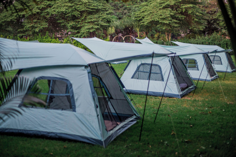 Others 4, Shose Campsite, Moshi Rural