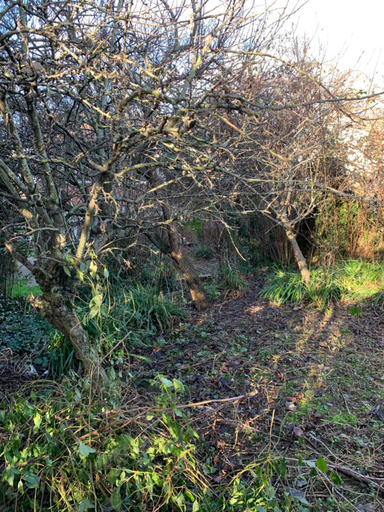 Others 5, Walcott, Herefordshire