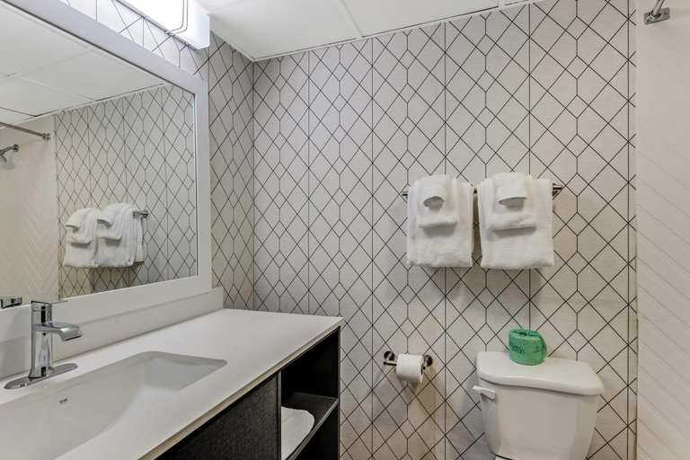 Bathroom 2, The Wander Hotel, a Ramada by Wyndham, Sevier