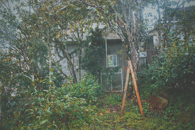 Scenery 11