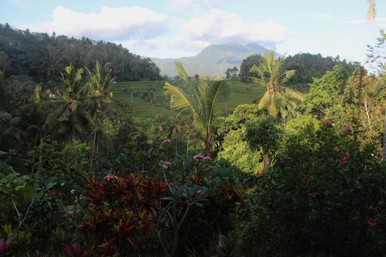 Others 2, Pondok Lembah Dukuh Homestay, Karangasem