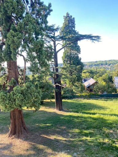 View, Studio pre de Disney, Seine-et-Marne