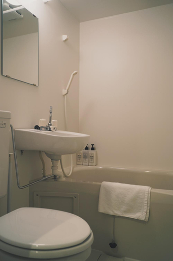 Bathroom, Hiro no Yado, Osaka